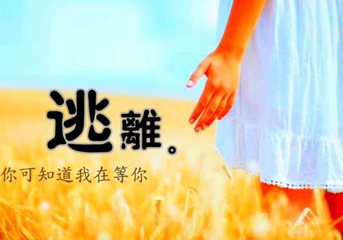 最真诚的辞职报告范文