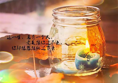教师素质提升工程自查报告