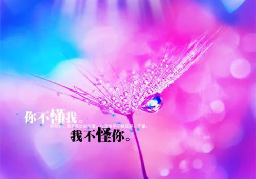 个人政风行风自查报告