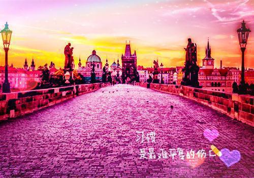 法学实习自我鉴定模板