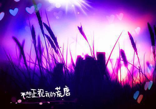 关于张小娴的很有道理的经典爱情名言