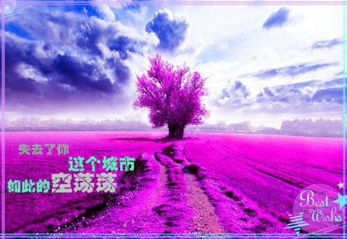 2023年会计专业社会实践报告