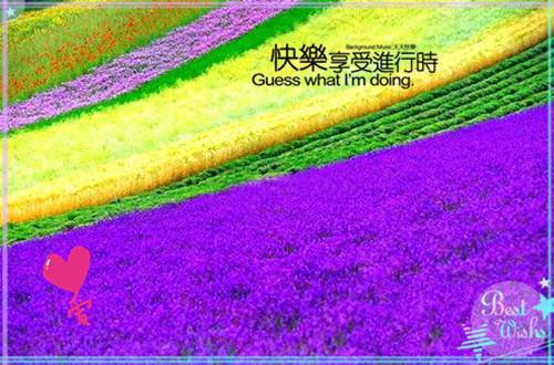 有关博爱的散文