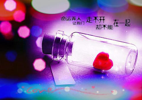 网络工程师个人自荐信