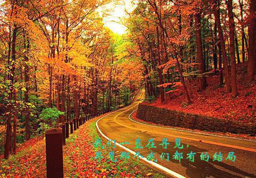 2023年暑期社会实践活动心得