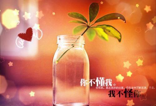 关于选人用人自查报告