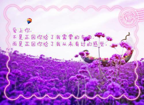 学整树活动剖析查摆分析材料