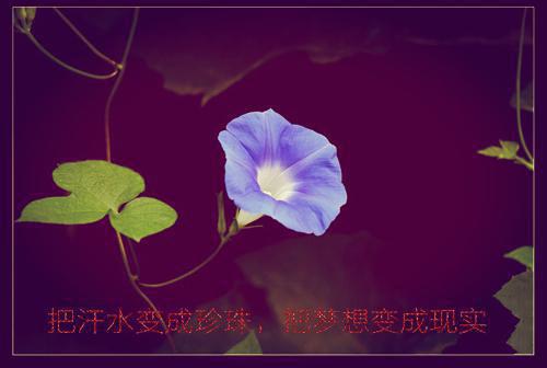 法学专业求职信范文合集9篇