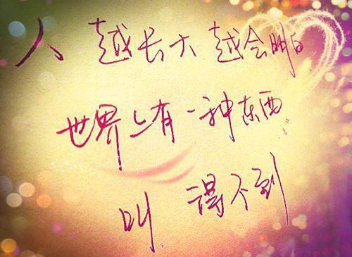 单位处理违章委托书