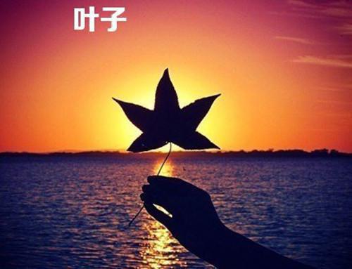 精选体育生求职信范文