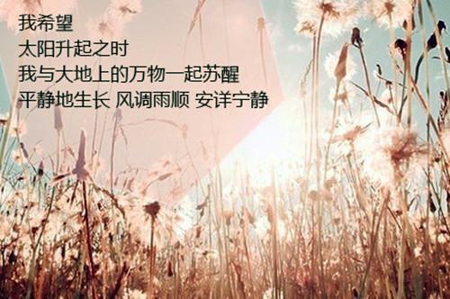 班主任语文教师工作报告范文