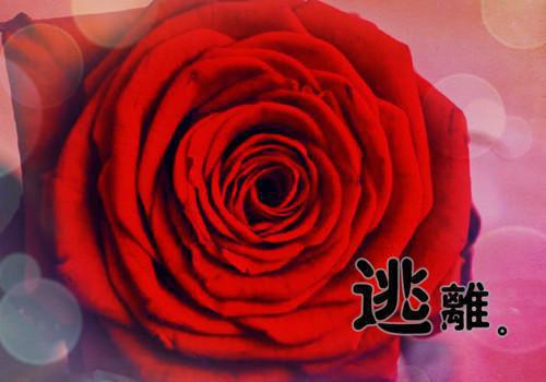 励志电影《蚁族的奋斗》观后感
