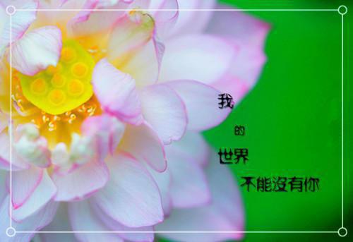 学校体育卫生艺术自查报告
