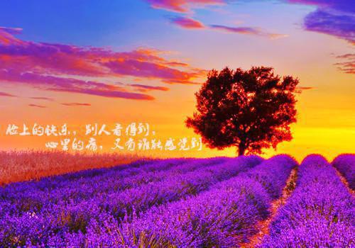 幼儿园安全工作年度自查报告范文