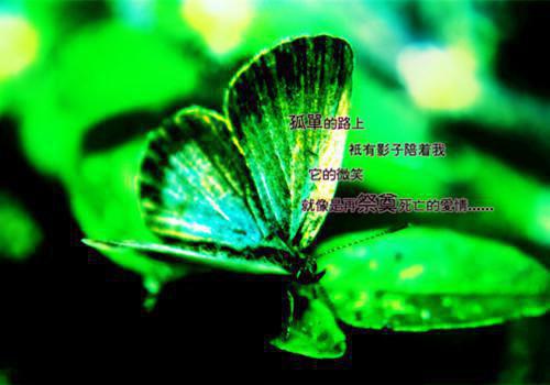 伤感情侣配对网名短暂的爱昧 彼此的永久
