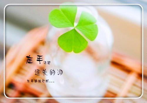 小学创建学习型学校自查报告