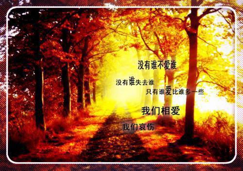 有关于大学生毕业求职信范文4篇