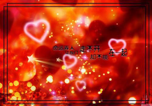 秘书专业求职信范文集合五篇