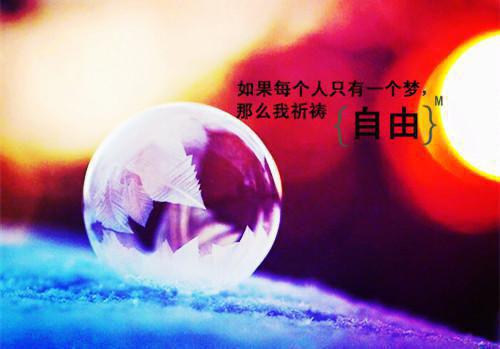2023年12.4全国法制宣传日宣传活动实施工作报告