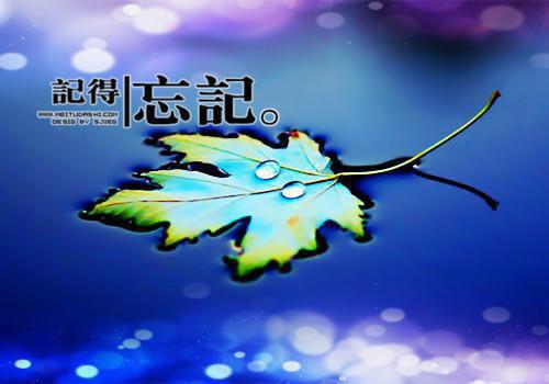 助学金感谢信集合五篇