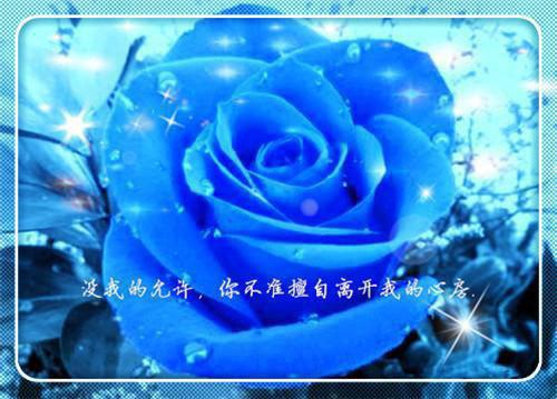 2023寒假社会实践报告格式范文【精选】
