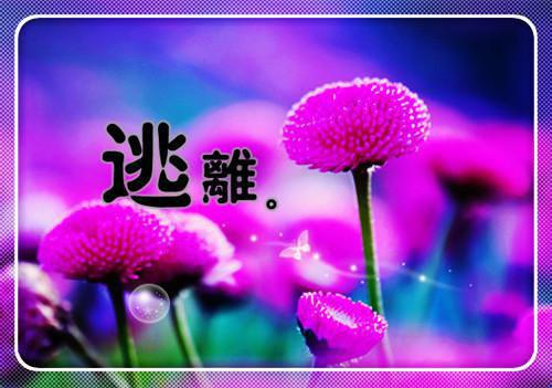 一生中最值得看的60部励志电影