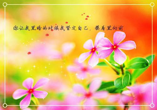 有人事经验求职信范文