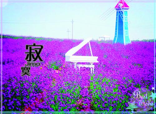 看病就医介绍信样本