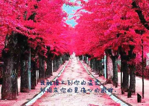 关于成功的小文章