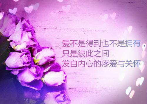 公司精神文明自检报告