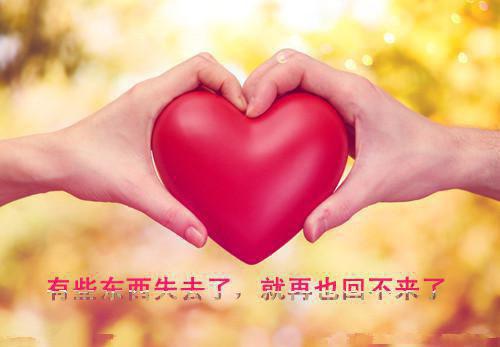 本科生求职信范文合集六篇