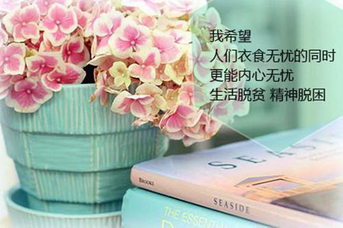 2023年乡镇两个责任落实情况自查报告