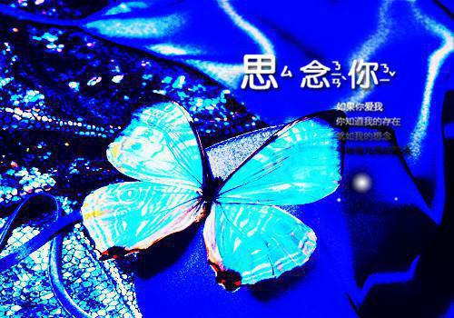 2023大学生暑期三下乡心得体会报告