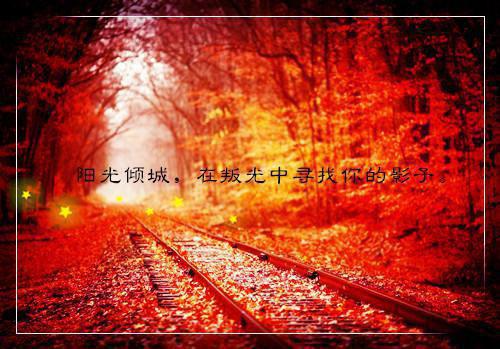 2023工作自查报告4篇