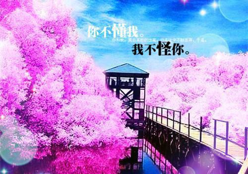 编辑自荐信范文