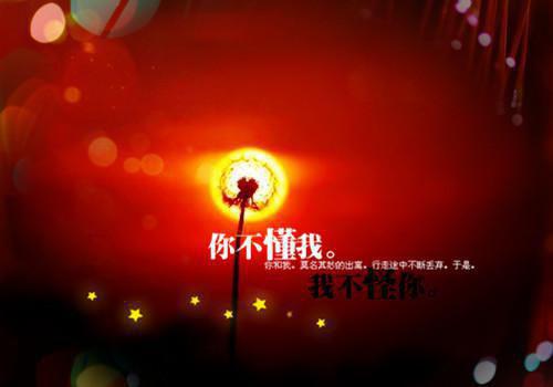 2023年社会实践报告抗战历史