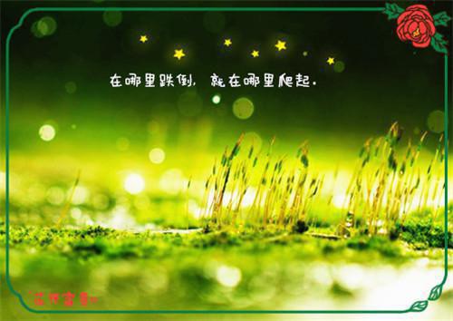 求职简历自荐信