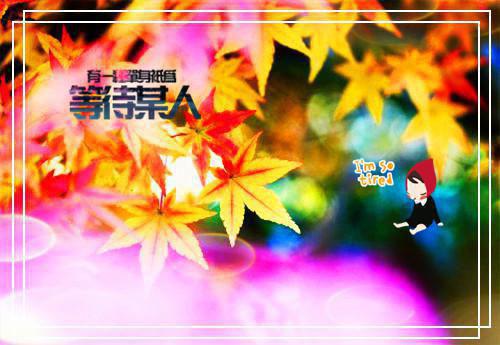 实用的文员求职信范文锦集8篇