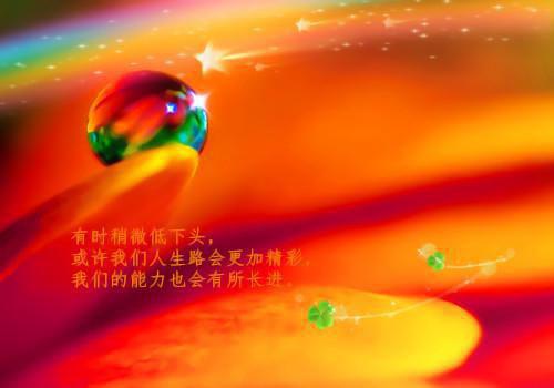 实践报告范文2023 医学生