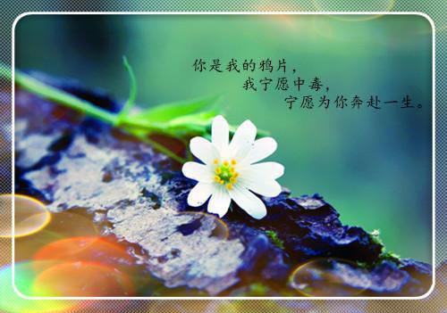 幼儿睡前益智故事