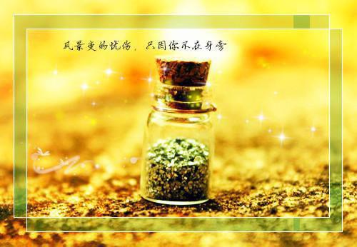 关于爱情的诗句摘抄