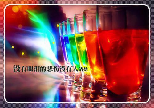 诉讼代理委托合同标准模板