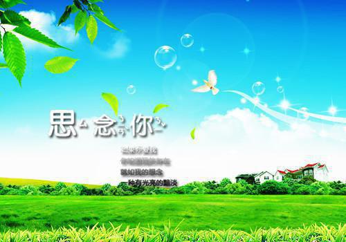 正规租房合同范本精选