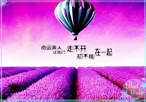 大学生会计实习报告范文3000字
