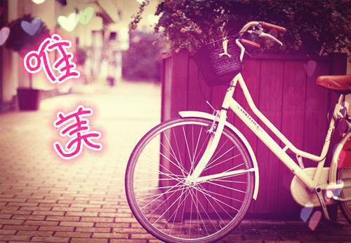 2023年大学生暑假支教社会实践报告范文心得体会3000字