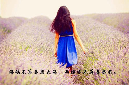 支教 个人社会实践报告