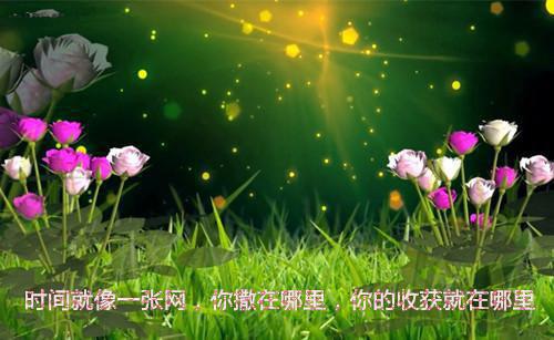 关于暑假社会实践报告范文3000字