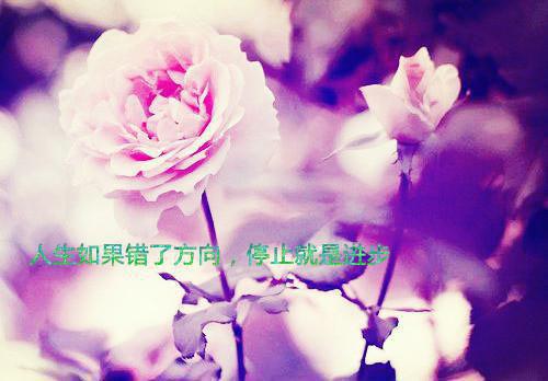 经典益智故事【三篇】