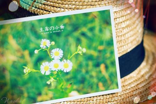 人事工作报告
