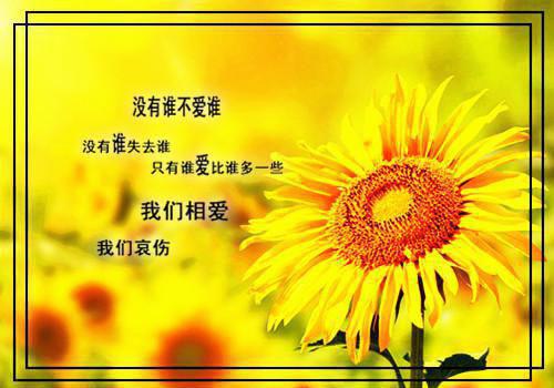 万州区响水初级中学校本教研工作自查报告